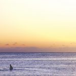 studentberättelser från australien