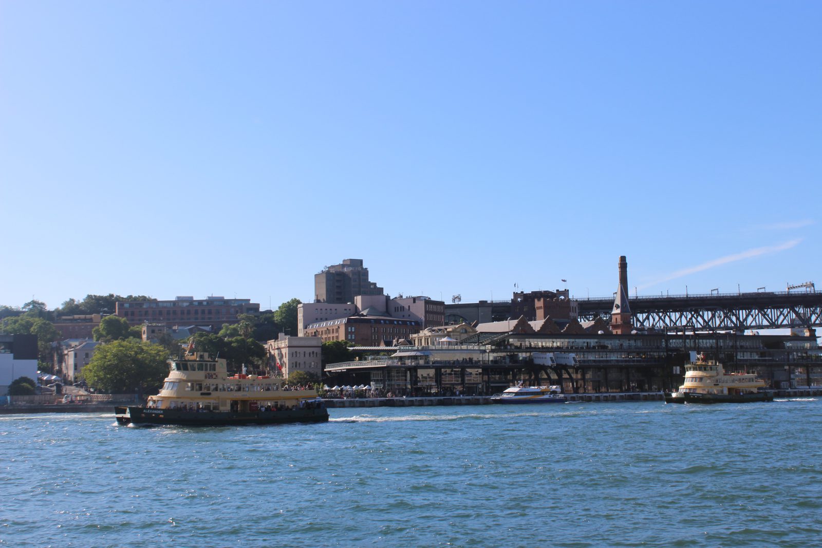 Studera Business på APM i Australien på blueberry.nu