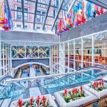 Studera juridik & säkerhet i New York på blueberry.nu