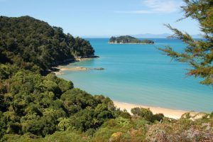 Plugga i Nya Zeeland NMIT på blueberry.nu