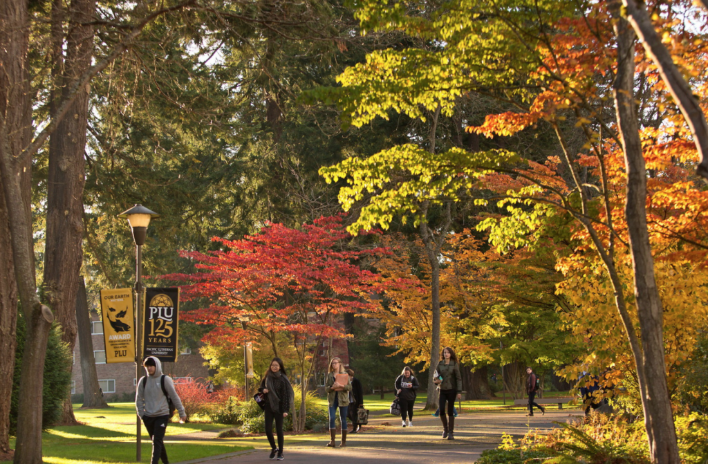 pacific lutheran studenter