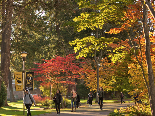 pacific lutheran studenter
