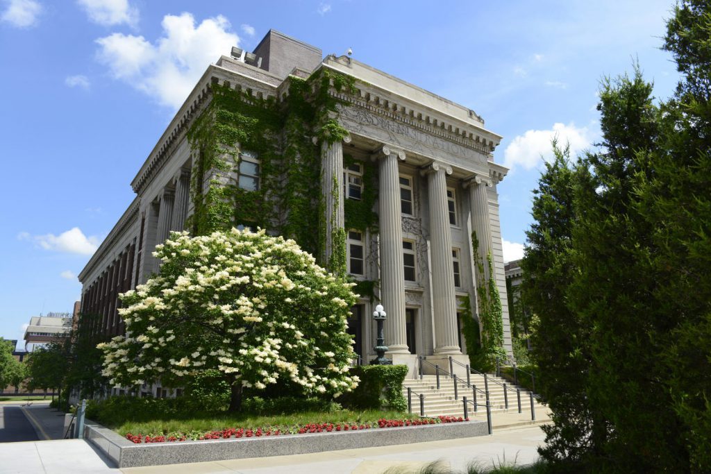 Plugga i USA på University of Minnesota på blueberry.nu