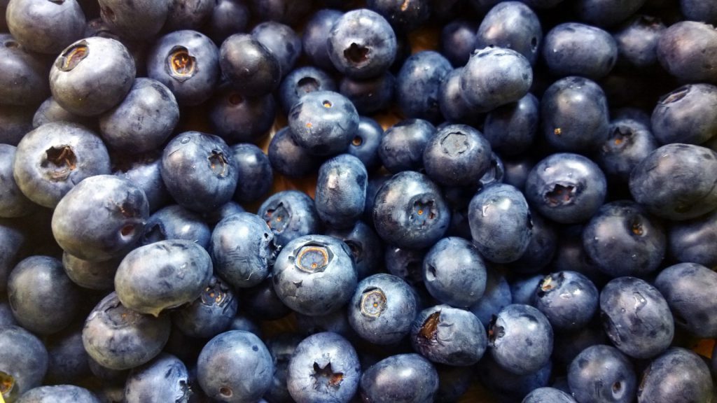 Blueberrys stipendium för utlandsstudier på blueberry.nu