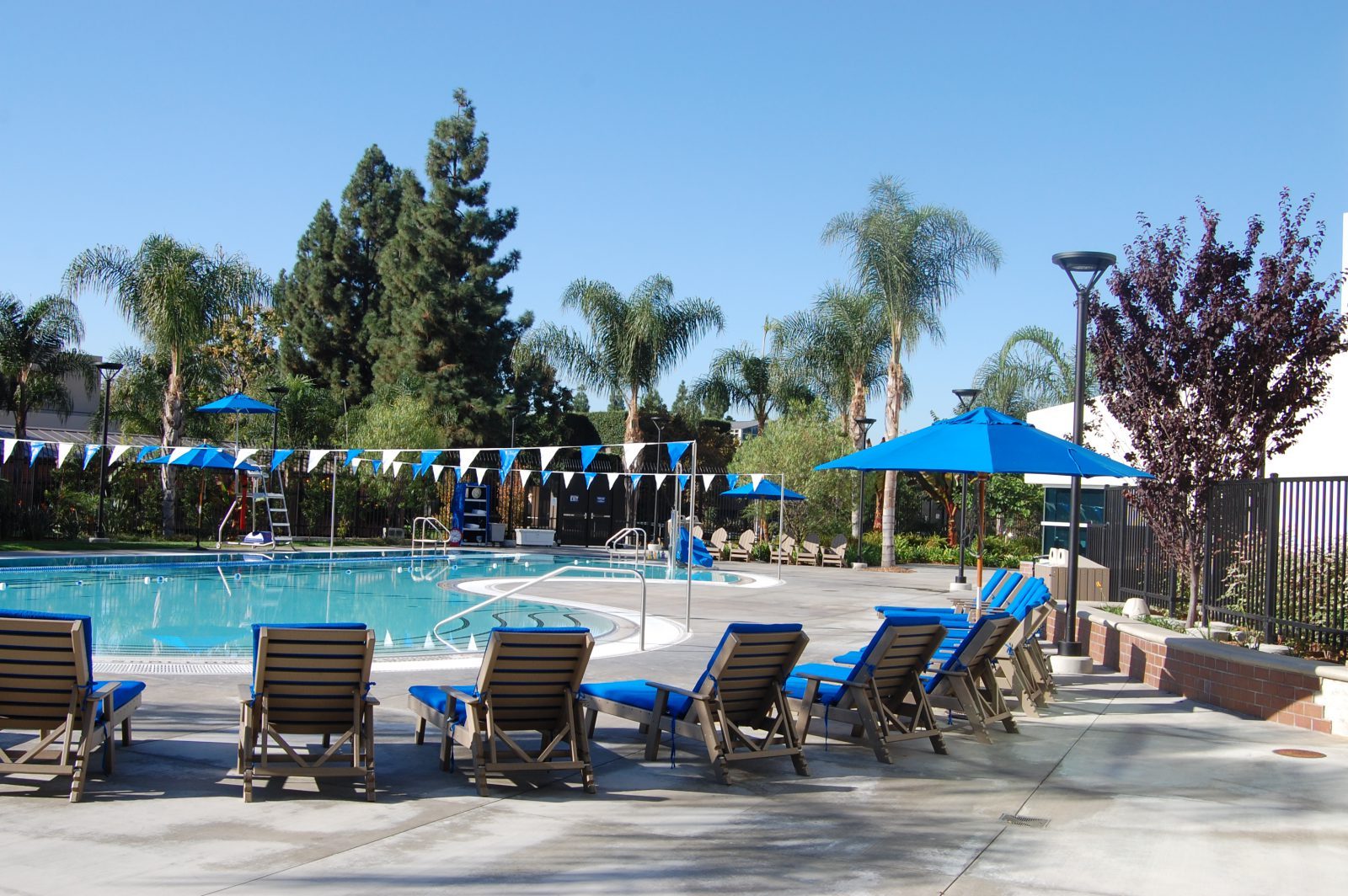 Under rasterna hänger många studenter vid poolen på California State University Fullerton