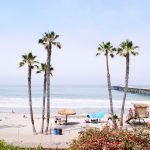 Studera utomlands i USA, California State University Fullerton, strand, Orange County, palmer,