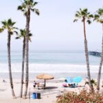 Studera utomlands i USA, California State University Fullerton, strand, Orange County, palmer,