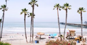 Studera utomlands i USA, California State University Fullerton, strand, Orange County, palmer,