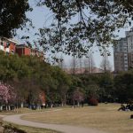 Shanghai University campus