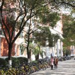 Shanghai University campus