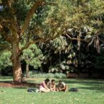 UWA-studenter umgås på gräsmatta på campus