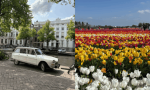 Kanal i Amsterdam + Tulpaner