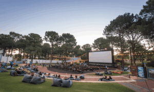 Edith Cowan University utebio